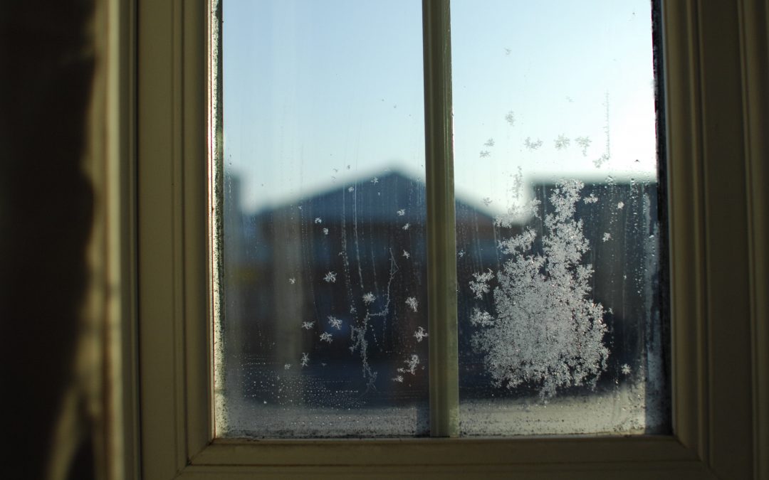 Tout savoir sur le lavage de vitre en hiver